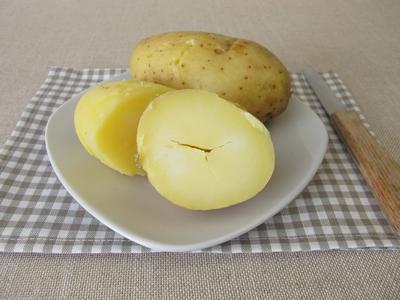 Slika članka