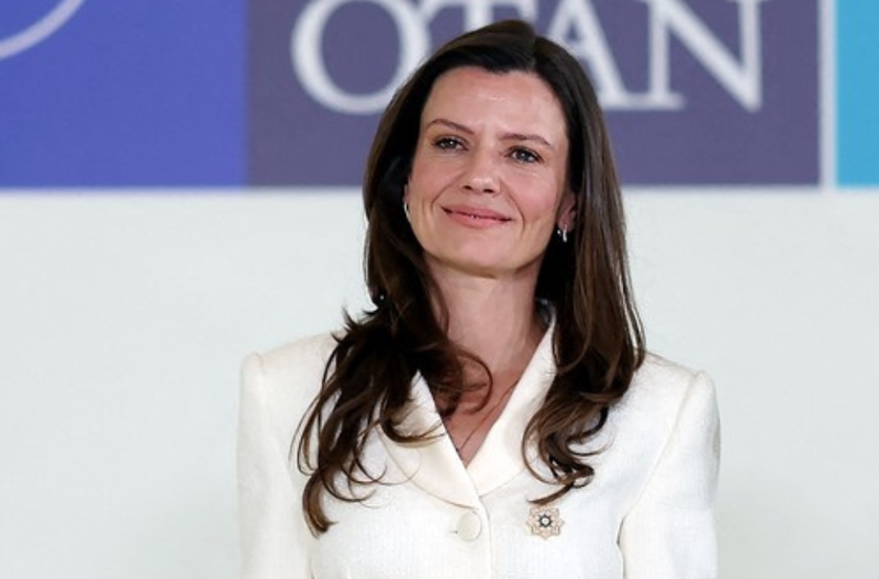 Slika članka