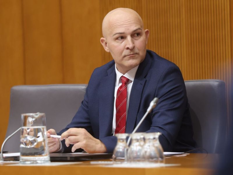 Slika članka