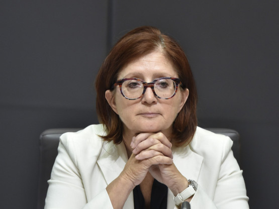 Slika članka