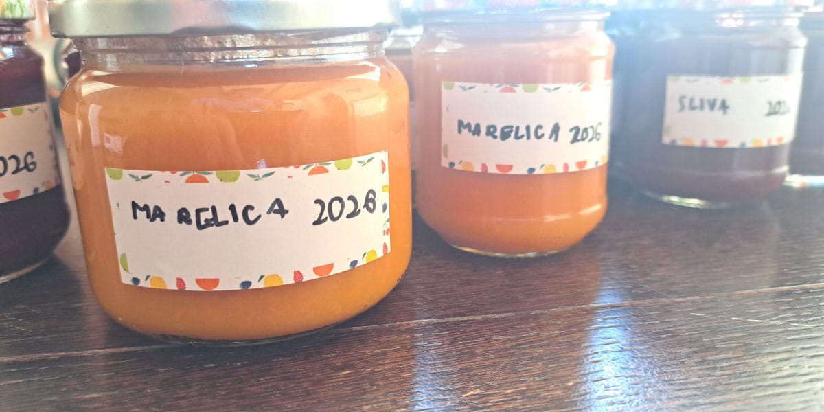 Slika članka