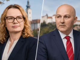 Slika članka