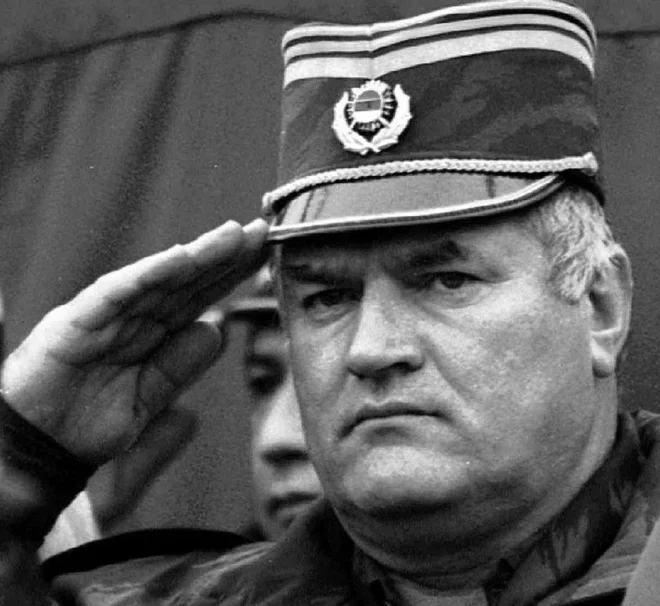 Slika članka