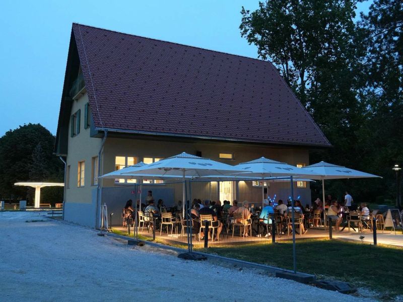 Slika članka