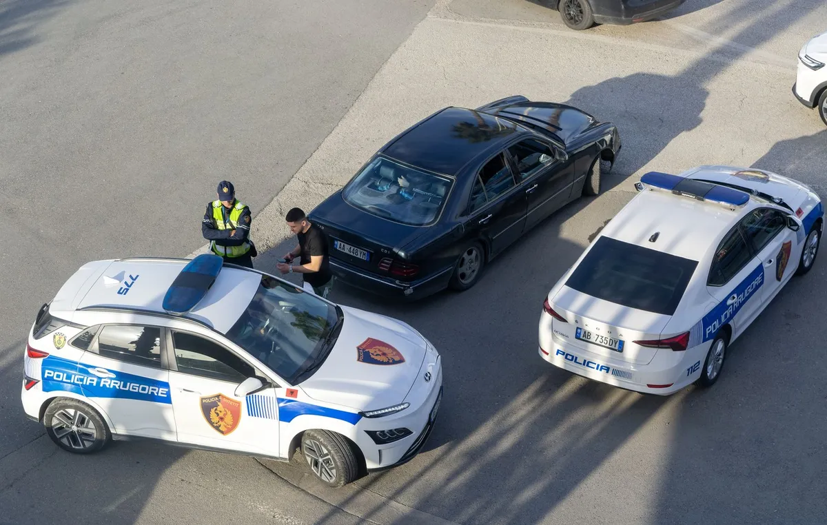 Slika članka