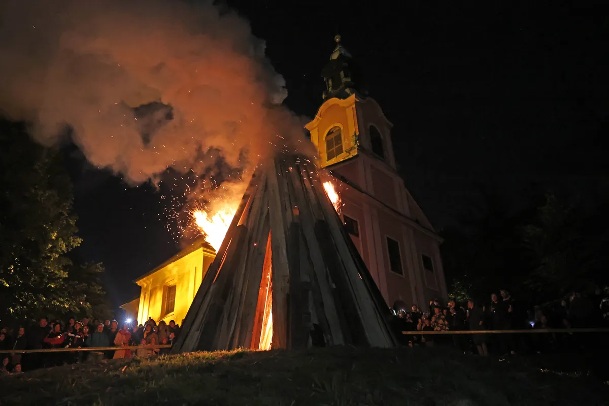 Slika članka