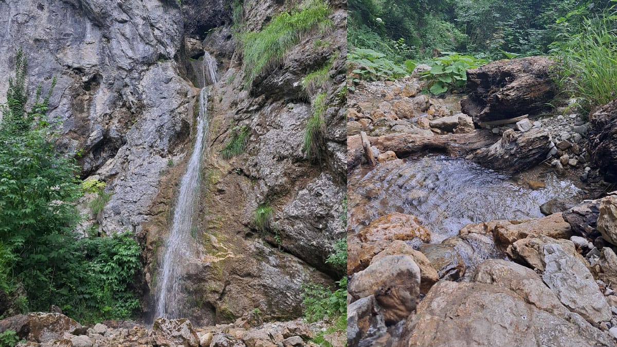 Slika članka