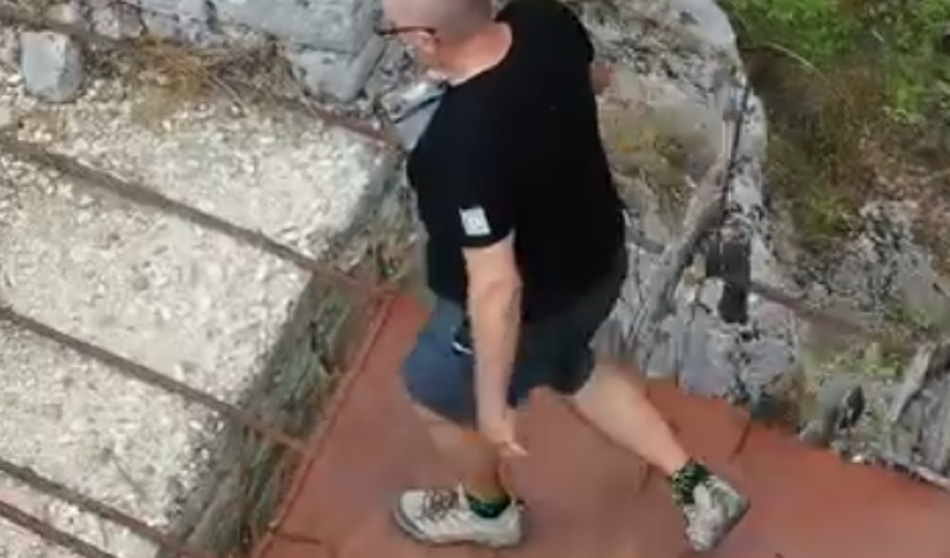Slika članka