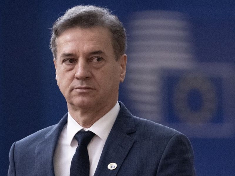 Slika članka