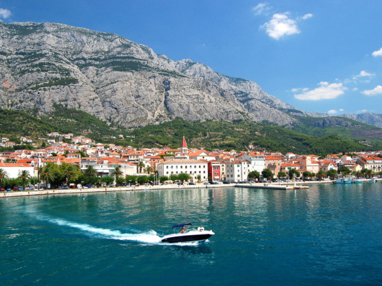 Slika članka