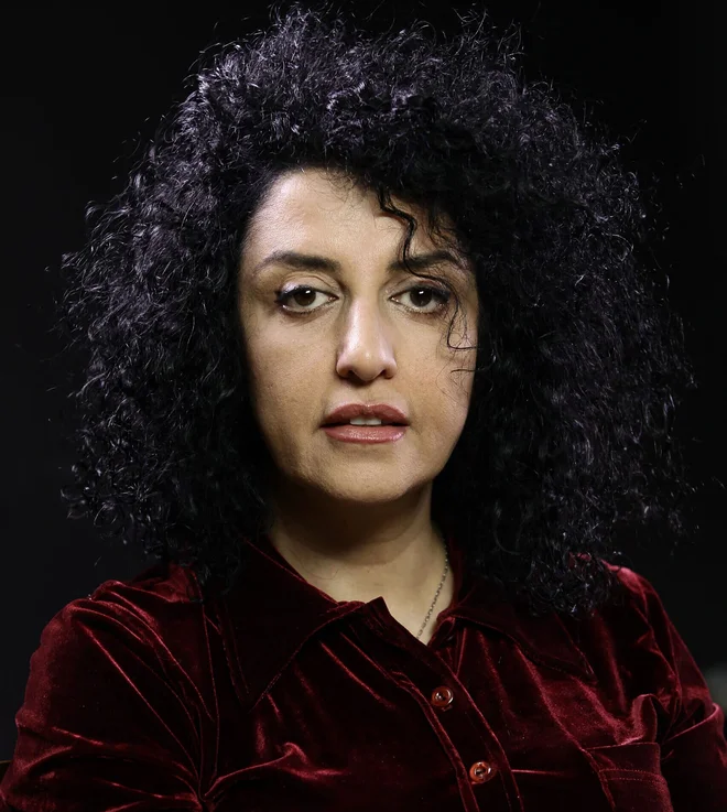 Slika članka