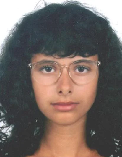 Slika članka