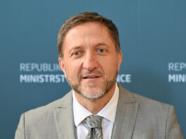 Slika članka