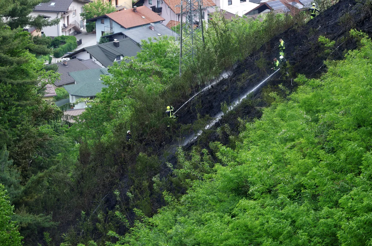 Slika članka
