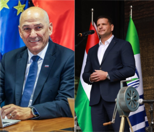 Slika članka