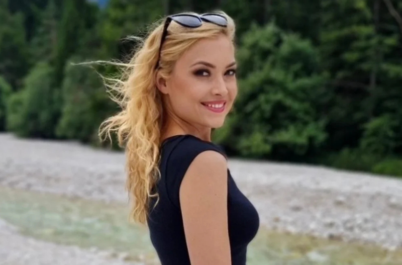 Slika članka