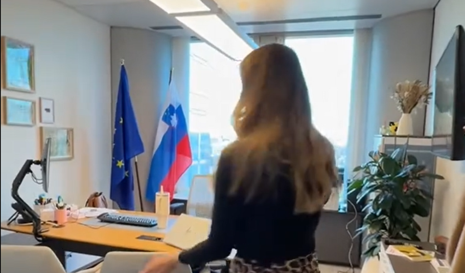 Slika članka