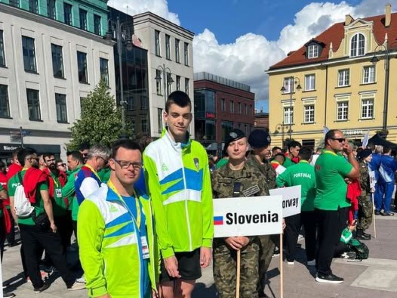 Slika članka