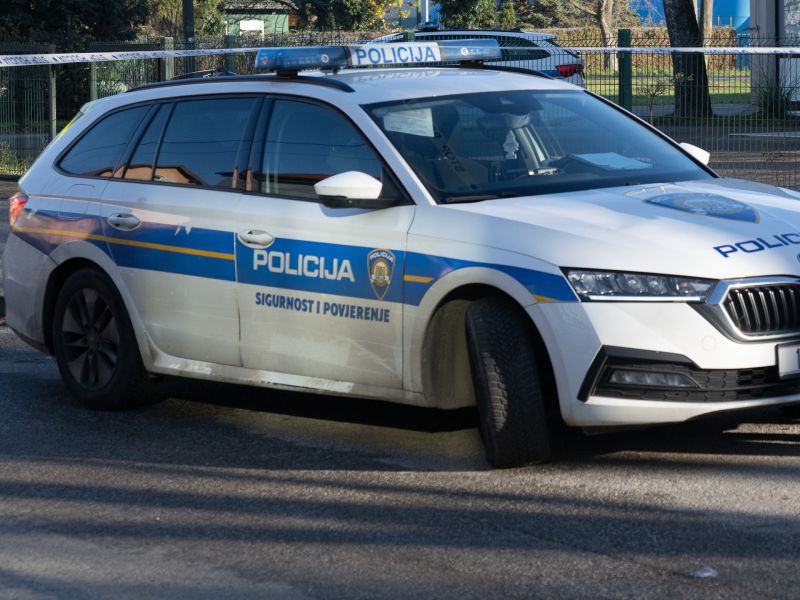 Slika članka