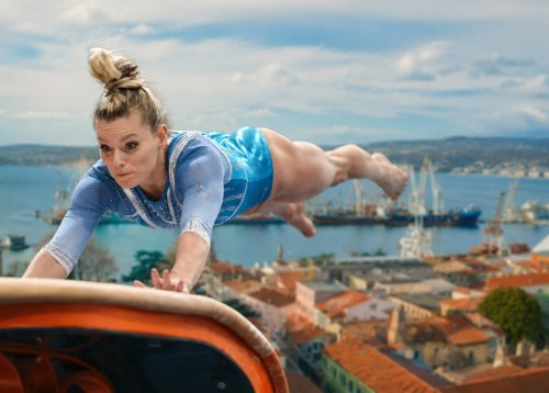 Slika članka