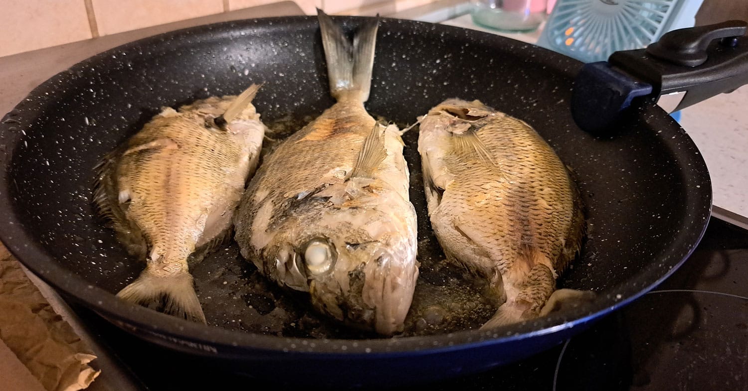 Slika članka