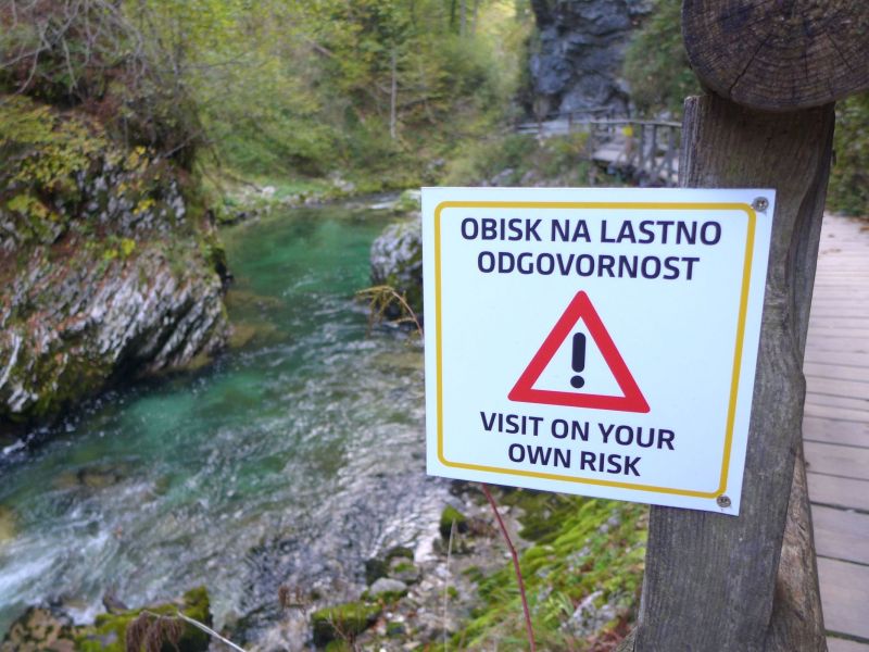 Slika članka