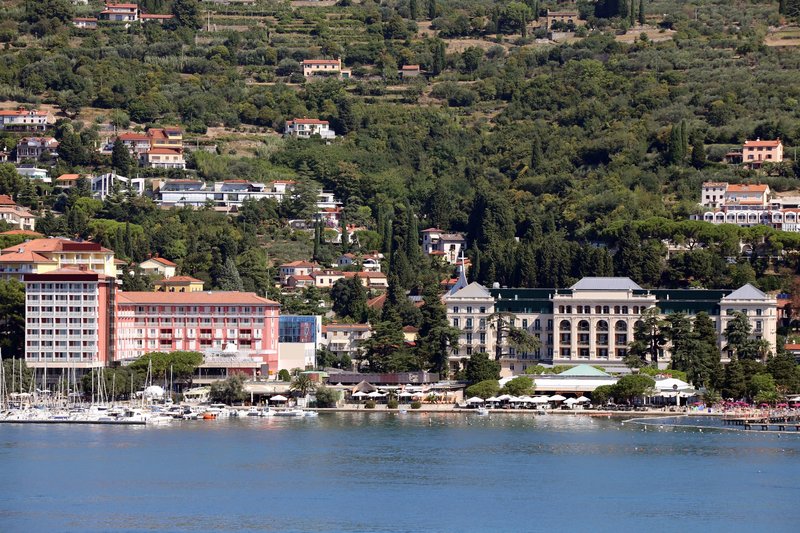 Slika članka