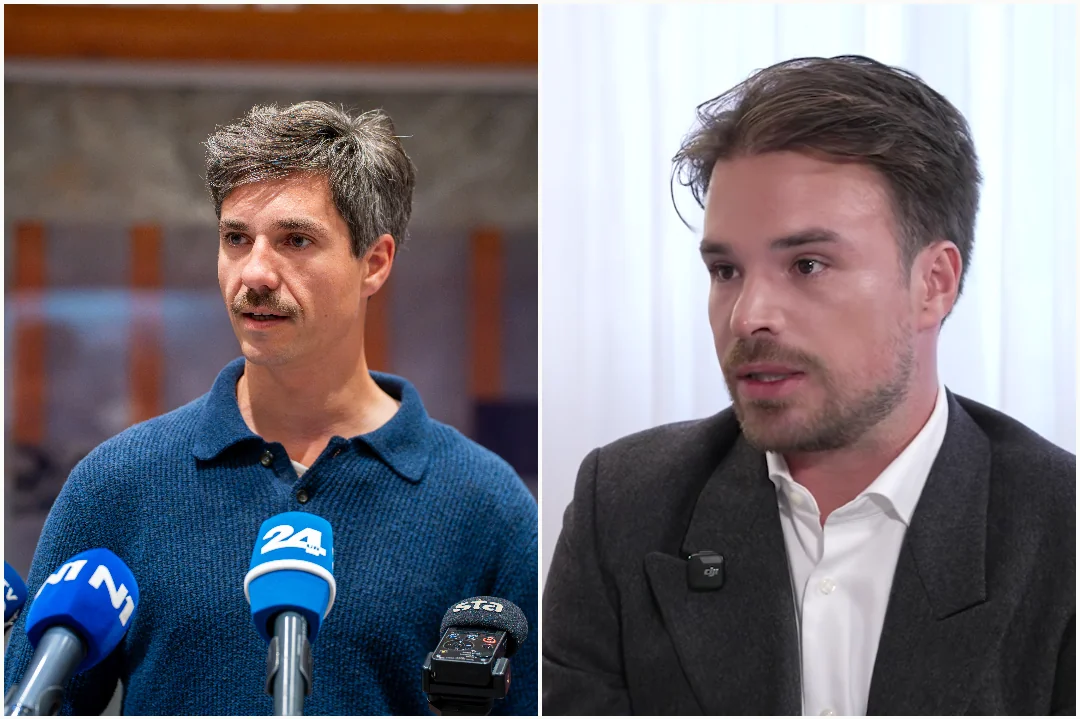 Slika članka