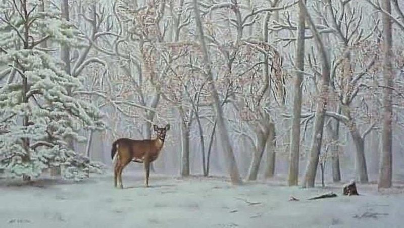 Slika članka
