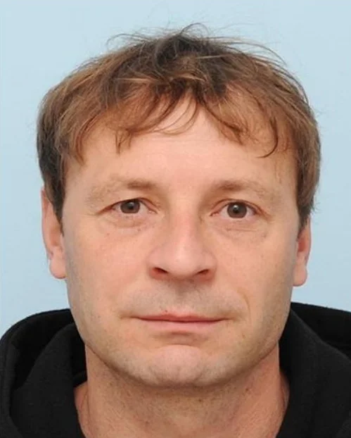 Slika članka