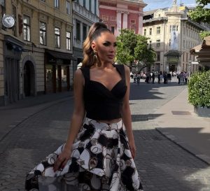 Slika članka