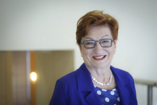 Slika članka