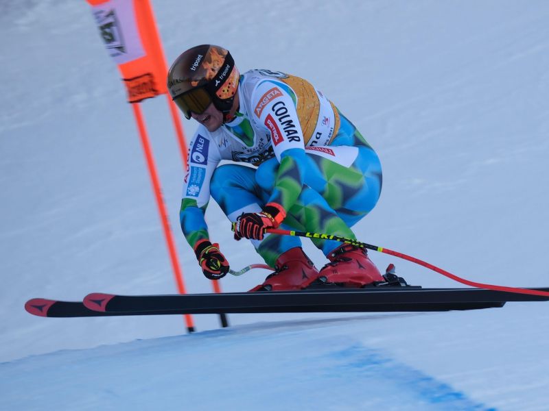 Slika članka