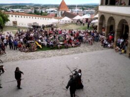 Slika članka