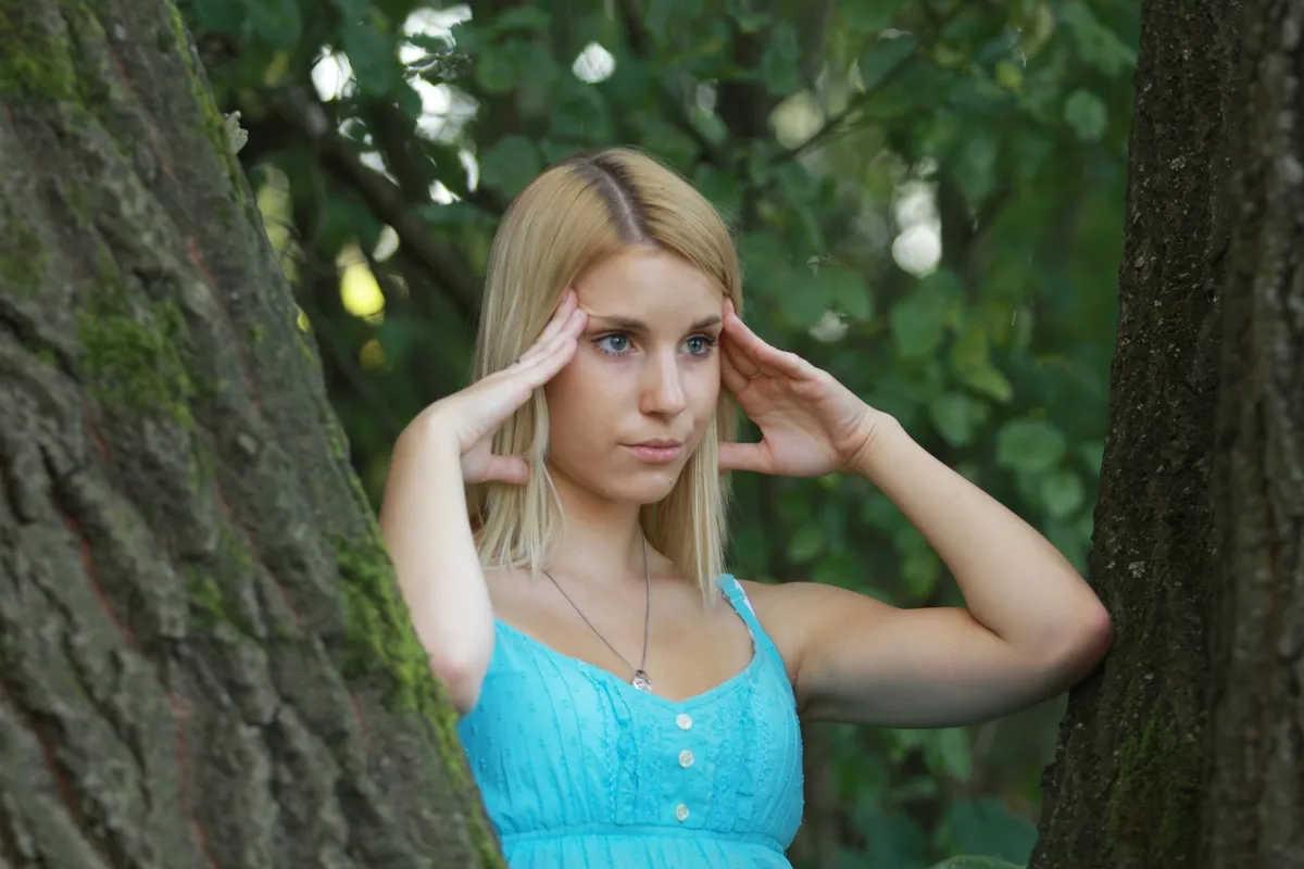 Slika članka
