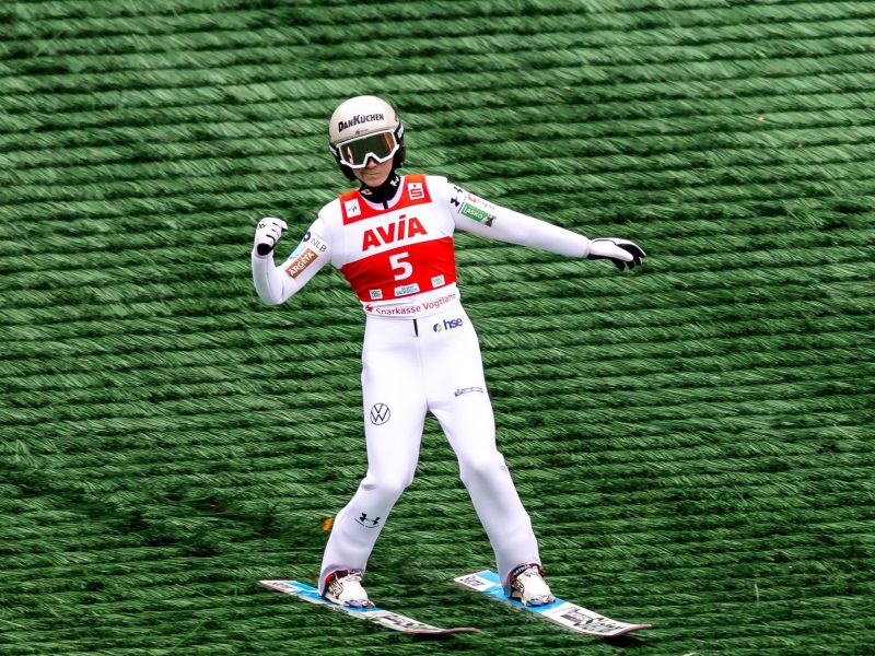 Slika članka