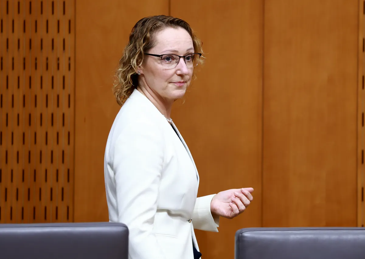 Slika članka
