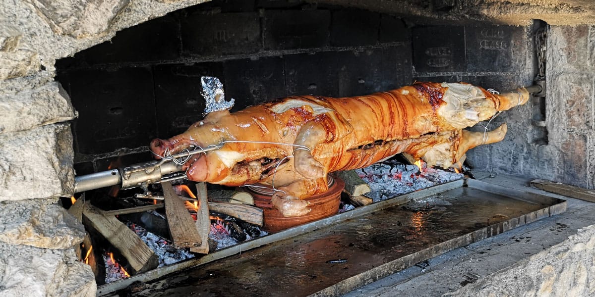 Slika članka