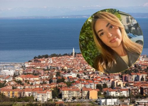 Slika članka