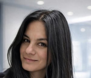 Slika članka