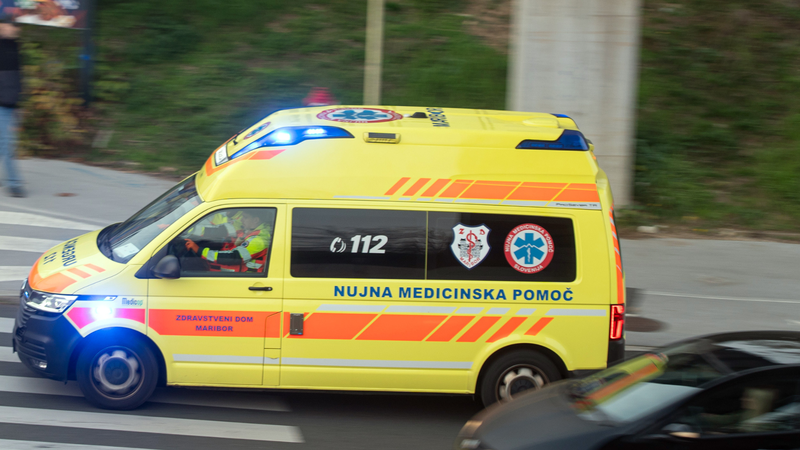 Slika članka