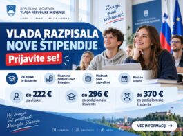 Slika članka