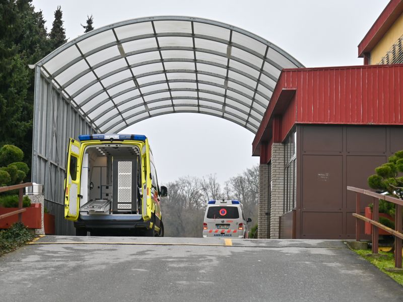 Slika članka