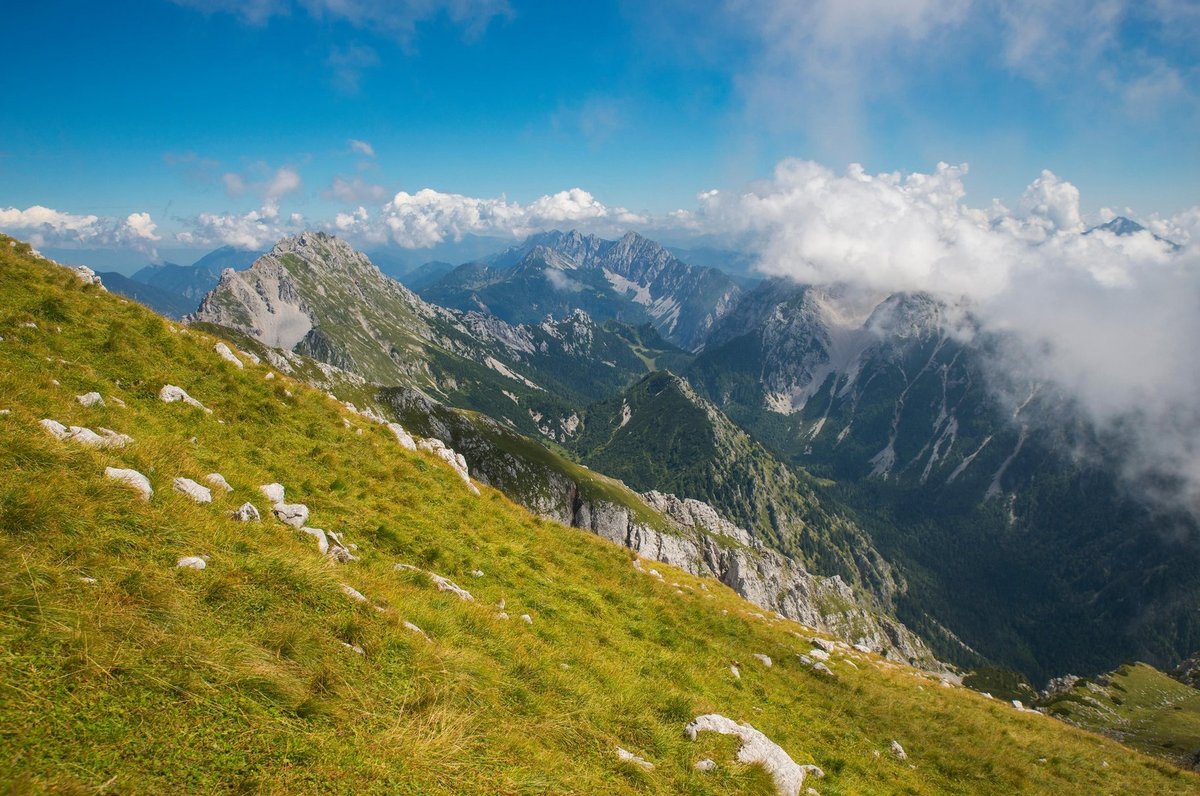 Slika članka
