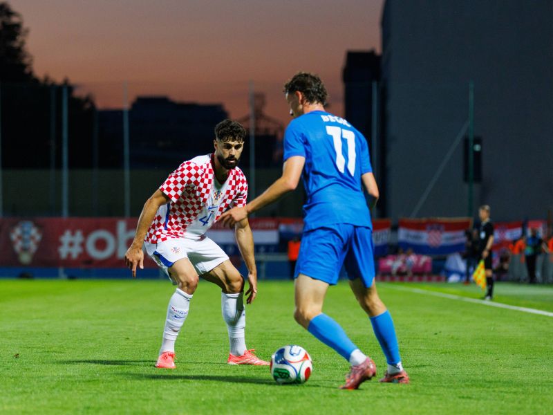 Slika članka