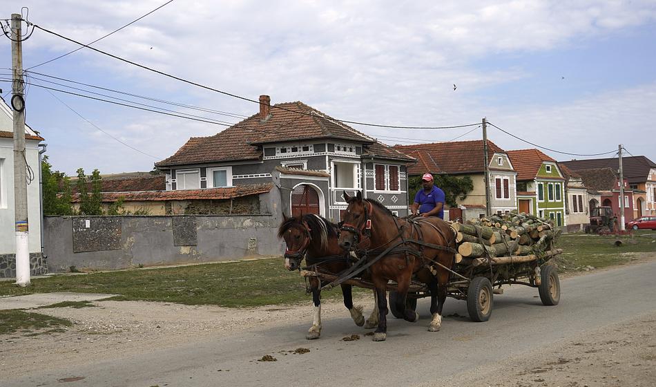 Slika članka