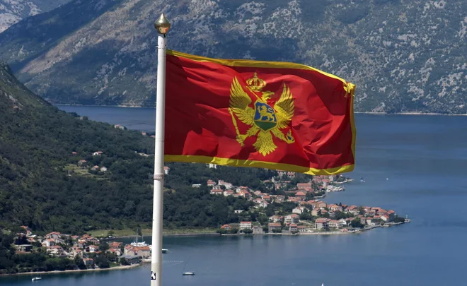Slika članka