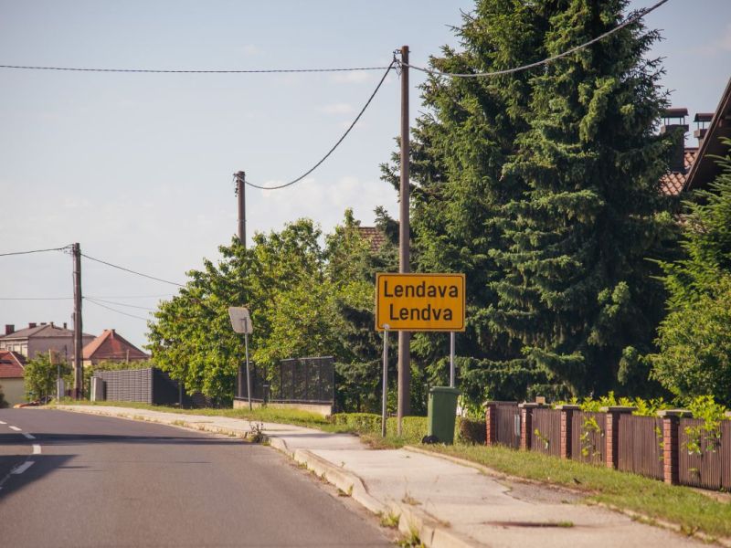 Slika članka