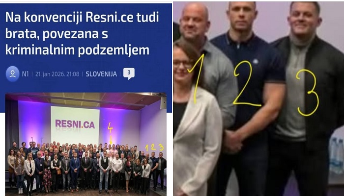 Slika članka