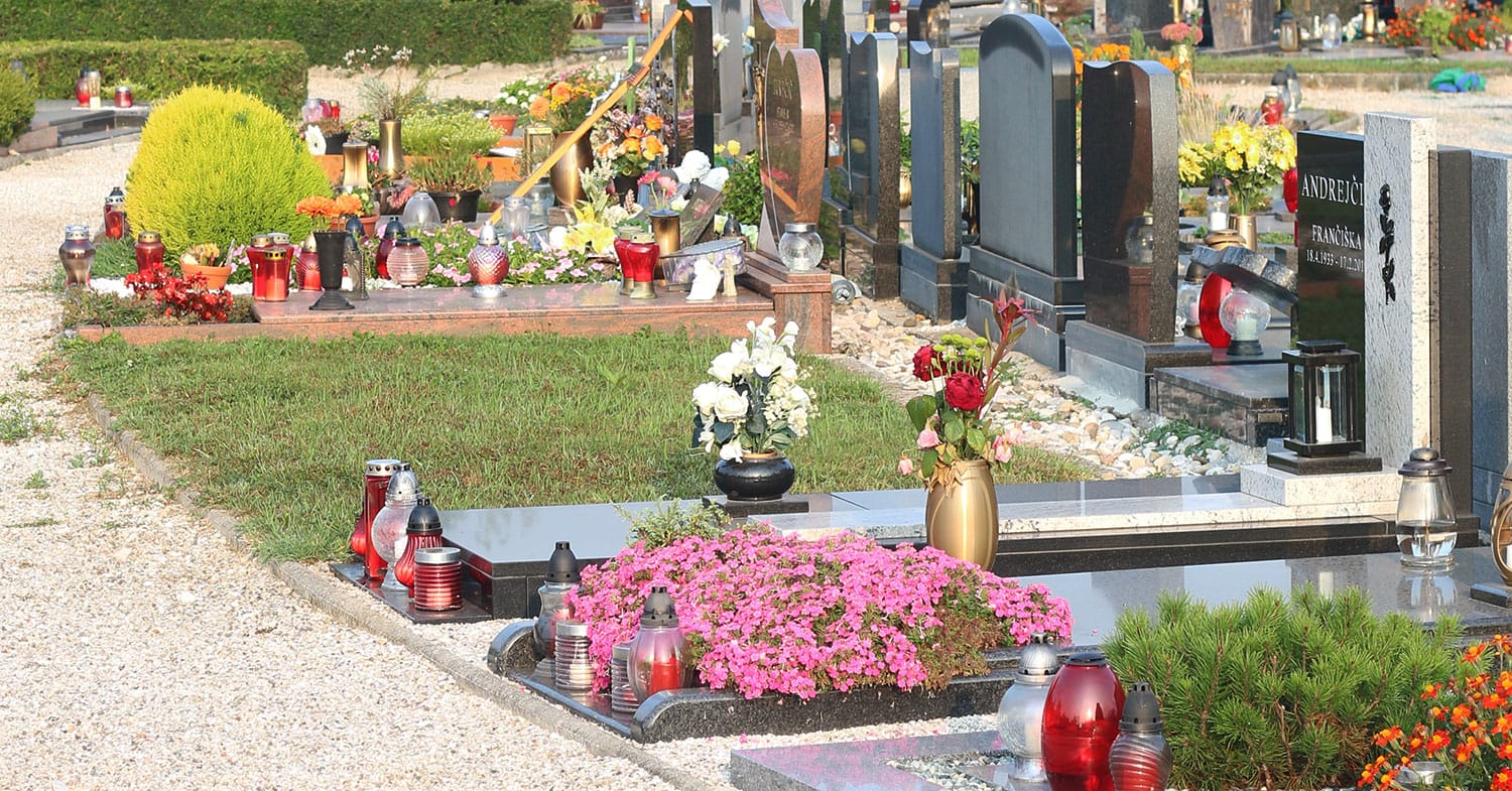 Slika članka